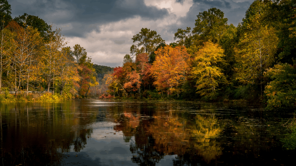 Plainfield, NJ area virtual psychiatric consultation and therapy
