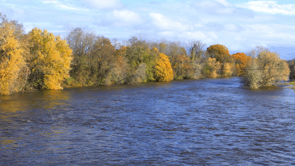 Westfield, NJ area online psychiatric consultation and medication management